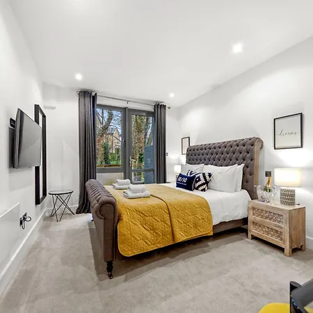 Springfield Thirteen Harrogate