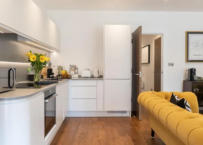 Springfield Thirteen *