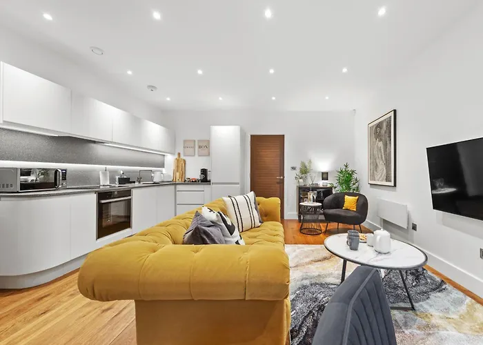 Springfield Thirteen